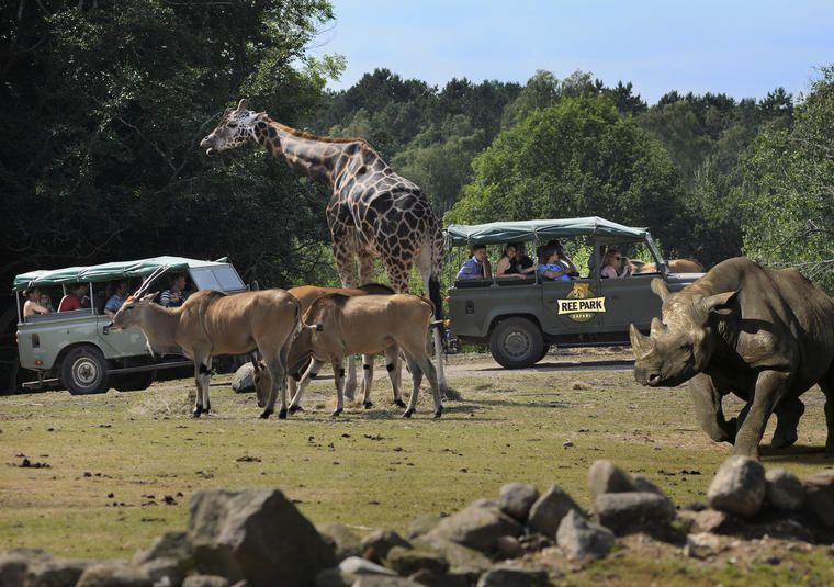 Ree Park Land rover safari