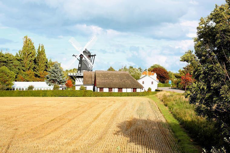 Sommerhus Falster