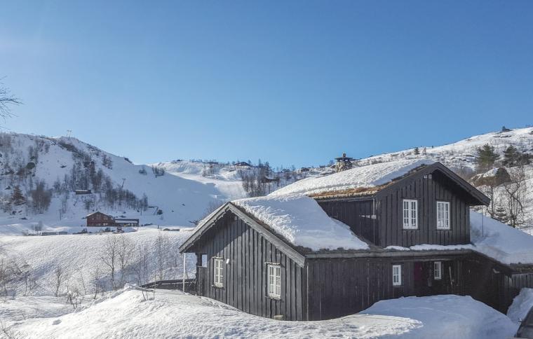 Feriehus i Åseral
