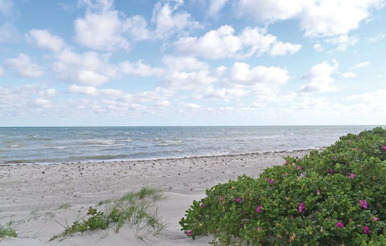 Fjellerup Strand på Djursland