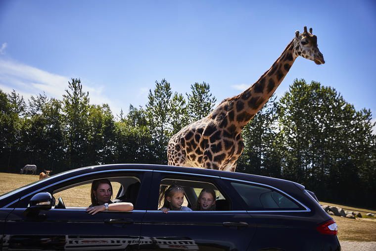 Lej sommerhus i Give og besøg GIVSKUD ZOO