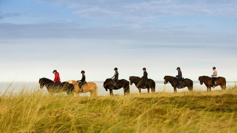 Rideture på isalndske heste i Fårup Sommerland