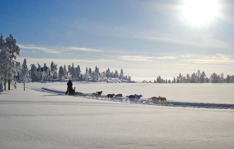 Hundeslæadetur Branäs