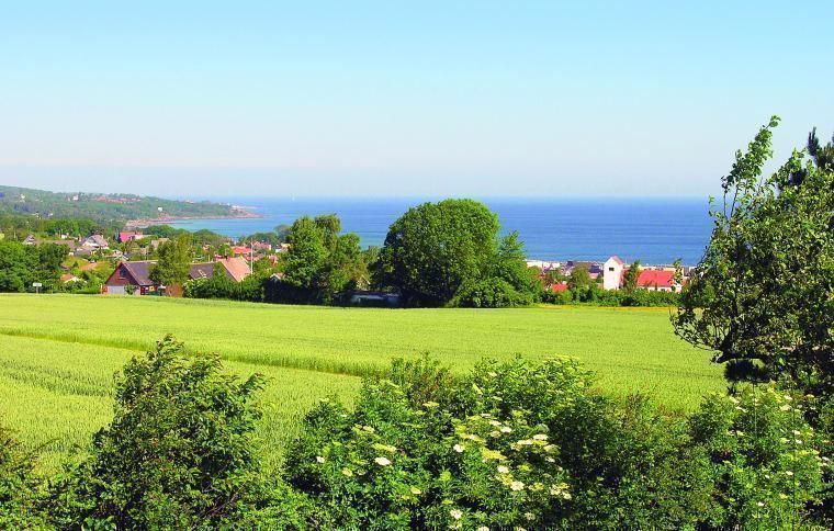 Med et sommerhus i Dueodde er der aldrig langt til flotte naturoplevelser
