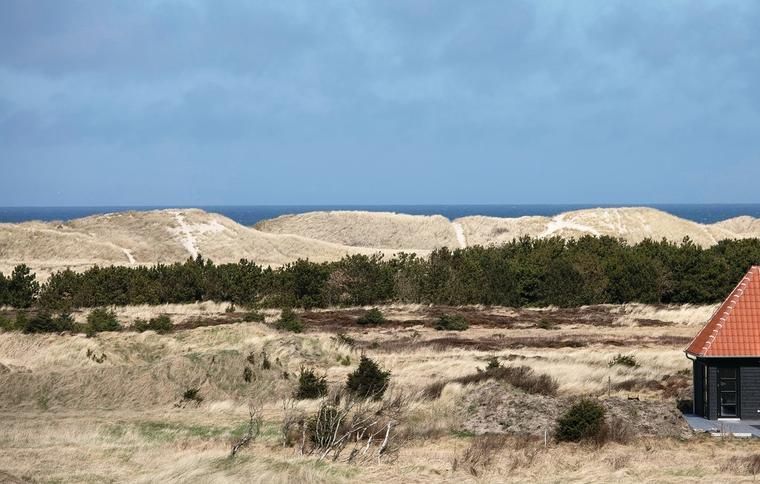 Lej sommerhus i Skagen og nyd den smukke natur