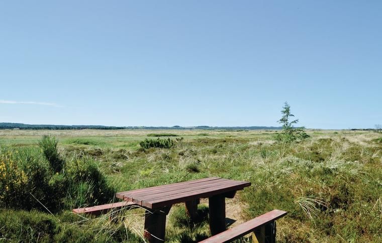 Lej sommerhus ved Tranum Strand midt i hedelandskabet