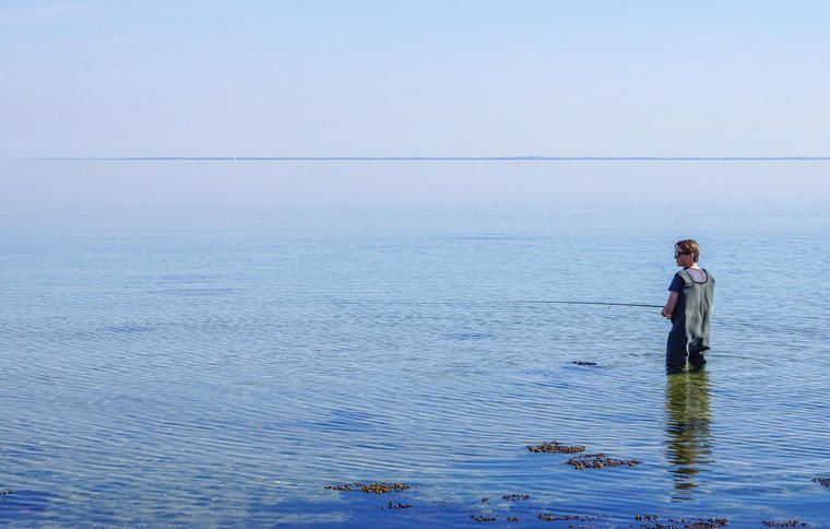 Ved Kelstrup Strand er der gode muligheder for lystfiskeri