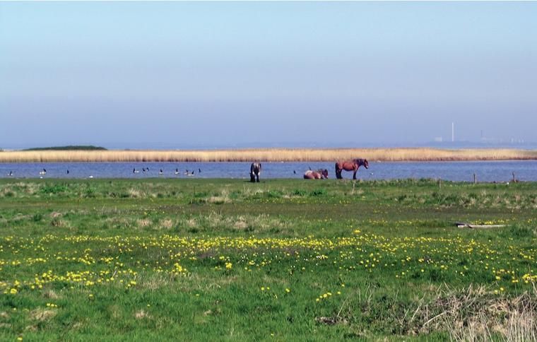 Lej sommerhus ved Stilling Strand og besøge halvøen Reersø