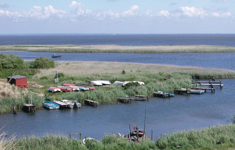 oplev Ringkøbing Fjord fra et sommerhus ved Årgab