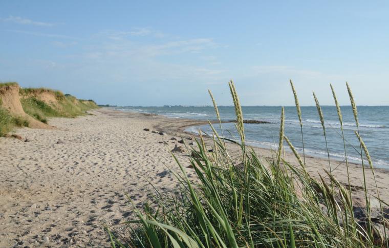 Süssauer Strand