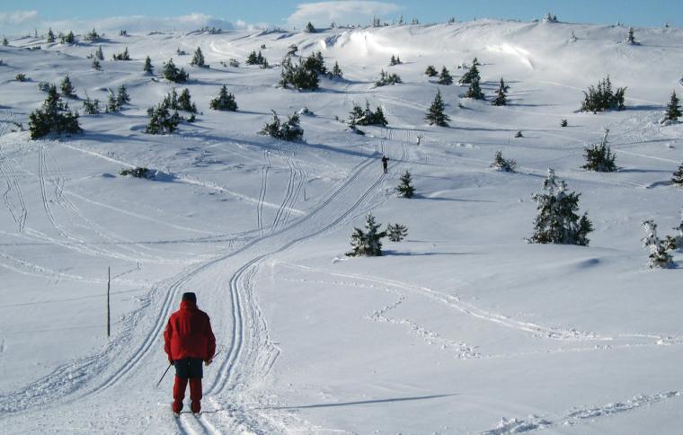 Skiløb Lillehammer