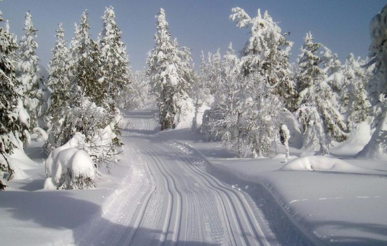 Skiferie i Trysil