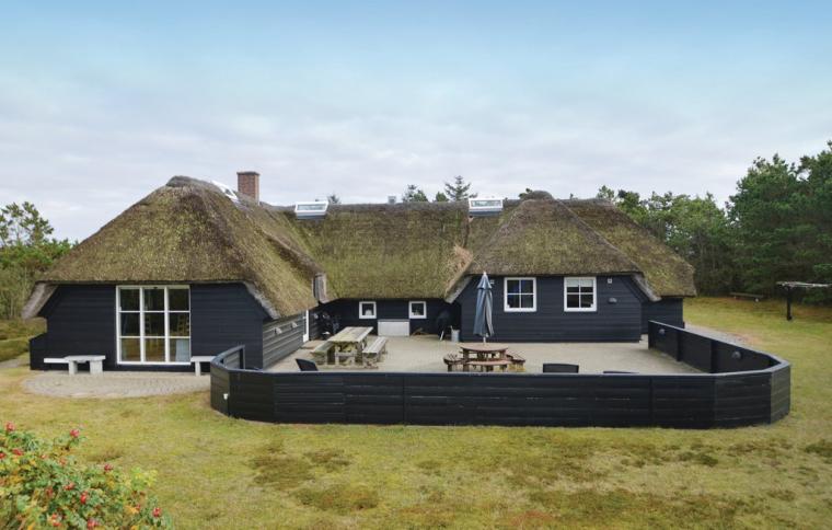 Sommerhus Blåvand pool