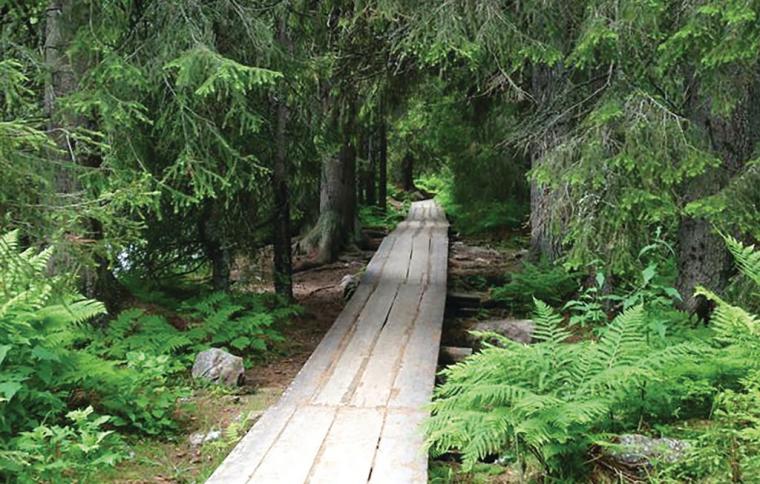 Vandresti i Älvdalen