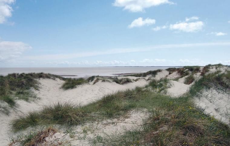 Lej sommerhus i Ellinge Lyng ved den børnevenlige strand