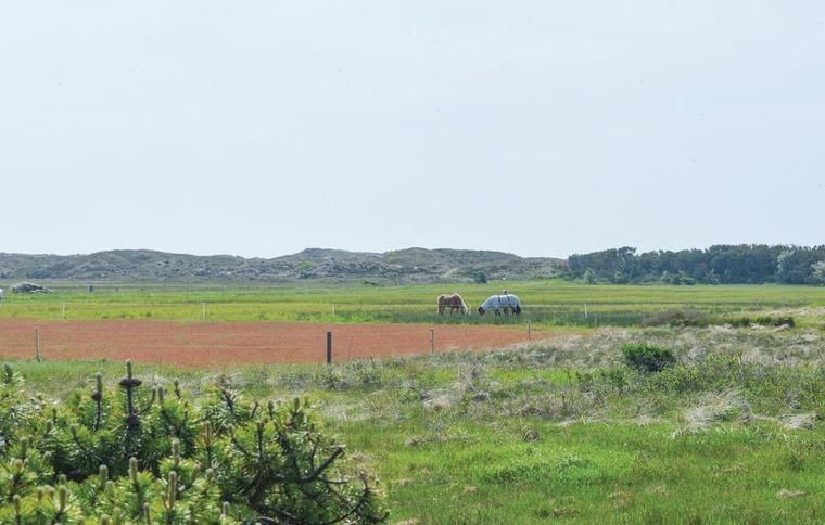 Udsigt fra et sommerhus i Kandestederne