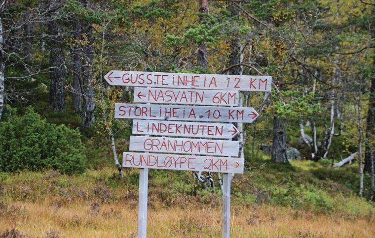 Vandring i Åmli