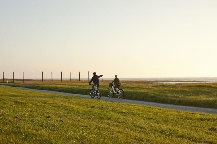 nyd et sommerhus i sønderjylland omgivet af smuk natur