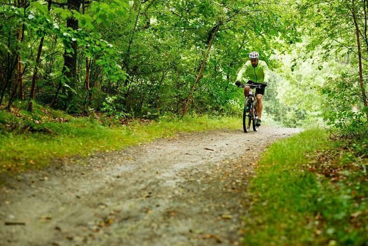Tag på cykeltur fra et sommerhus i billund
