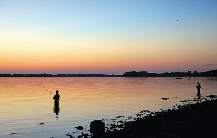 Lej sommerhus i Holbæk nær gode fiskesteder