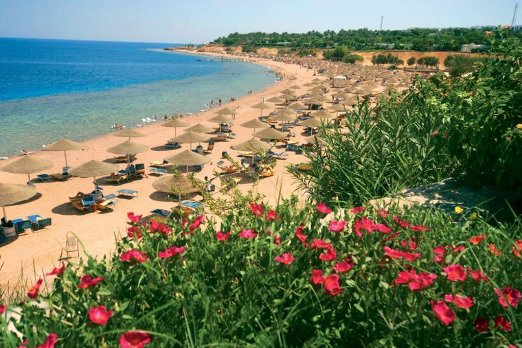 Ferie Sinai