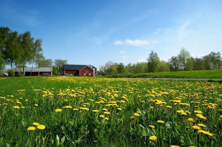 Ferie i Småland