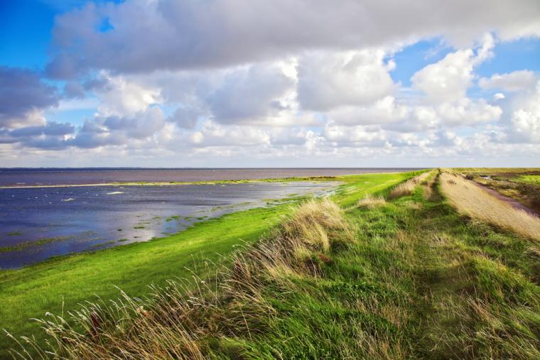 Sommerhus Vadehavet