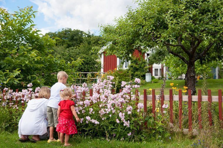 Familieferie i Sverige