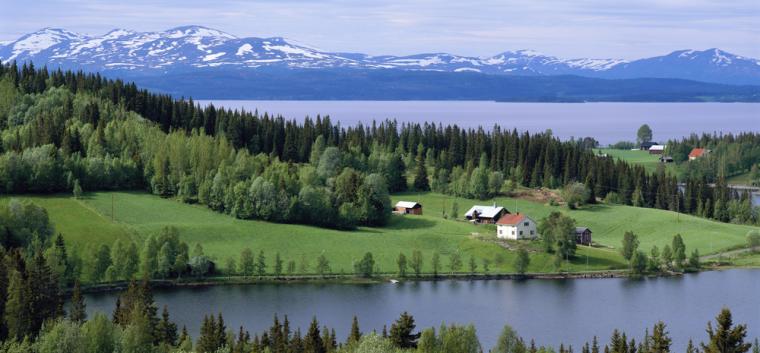 Sommerferie i Sverige