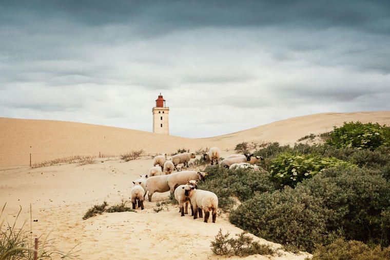 Lej sommerhus i Nr. Lyngby og besøg Rubjerg Knude