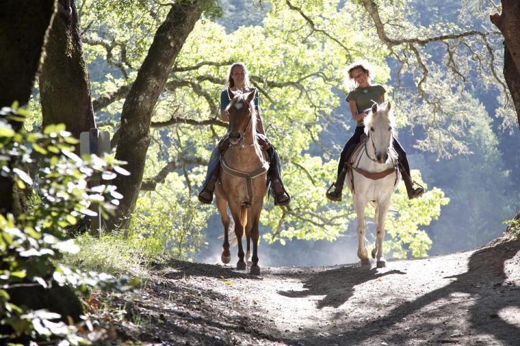 Hold en aktiv ferie i Sauerland med sommerhusudlejning fra NOVASOL