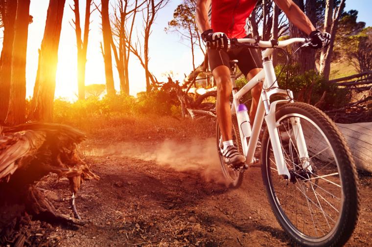 Cykelferie i Tjekkiet