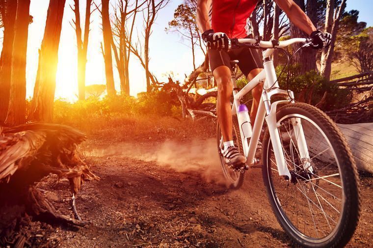 Hold ferie i Sverige og prøv de mange MTB ruter