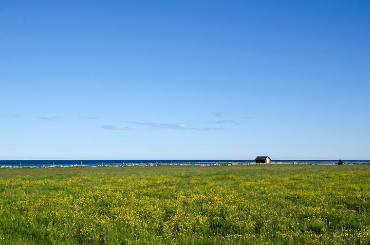 Feriehus ø-ferie på Öland