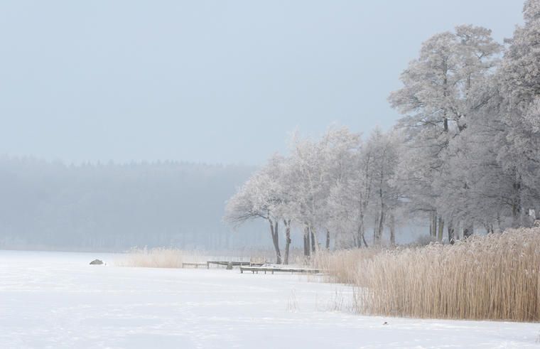 se den smukke vinter natur med et sommerhus