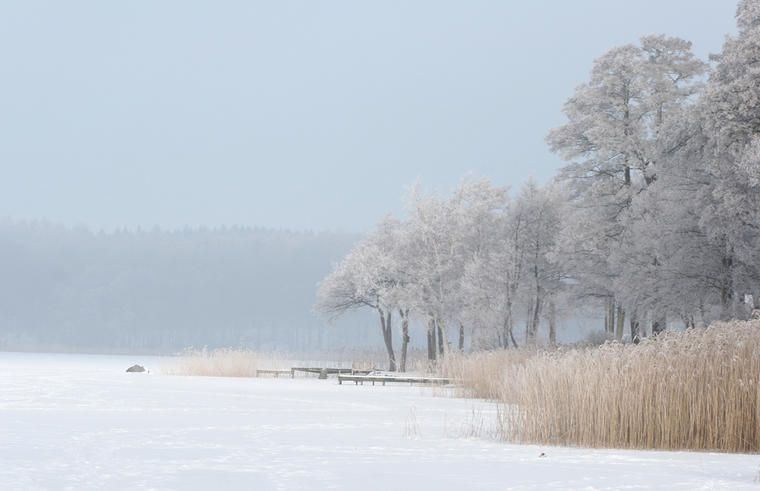 Kiks Oswald dybde Lej et sommerhus til nytår - Fleksibel ankomst! | NOVASOL.DK