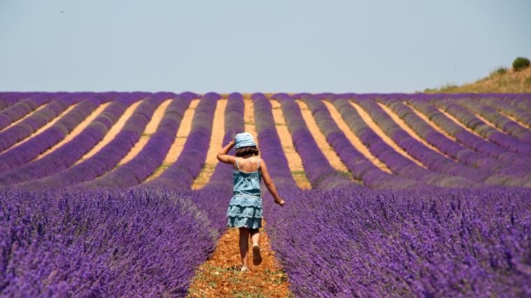 Ferie Provence