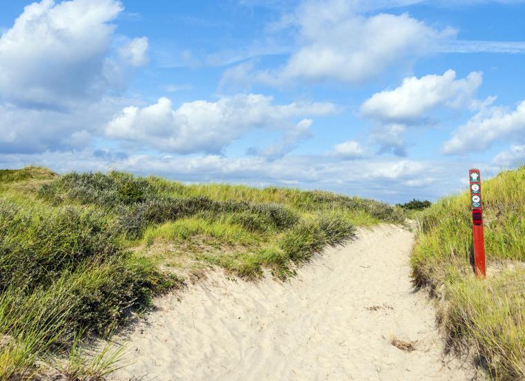 Sommerhuse på Fanø