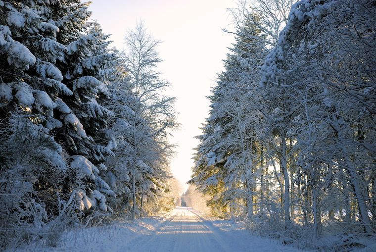 Julehygge i naturen fra et sommerhus