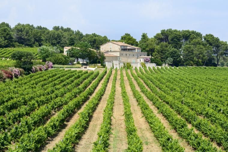 Vin i Languedoc Roussillon