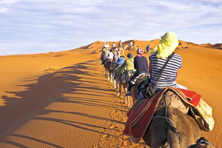 Oplevelser i Sharm El Sheikh