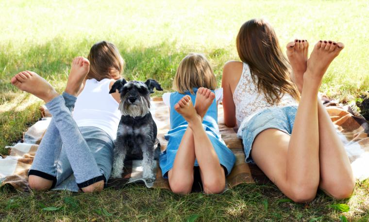 initial Oprør direkte Feriehuse i Sverige med hund tilladt | NOVASOL.DK