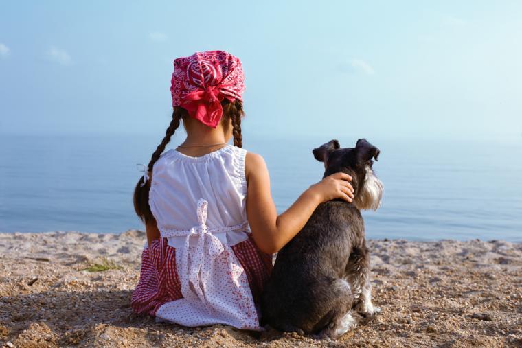 Sommerhus Lolland med hund