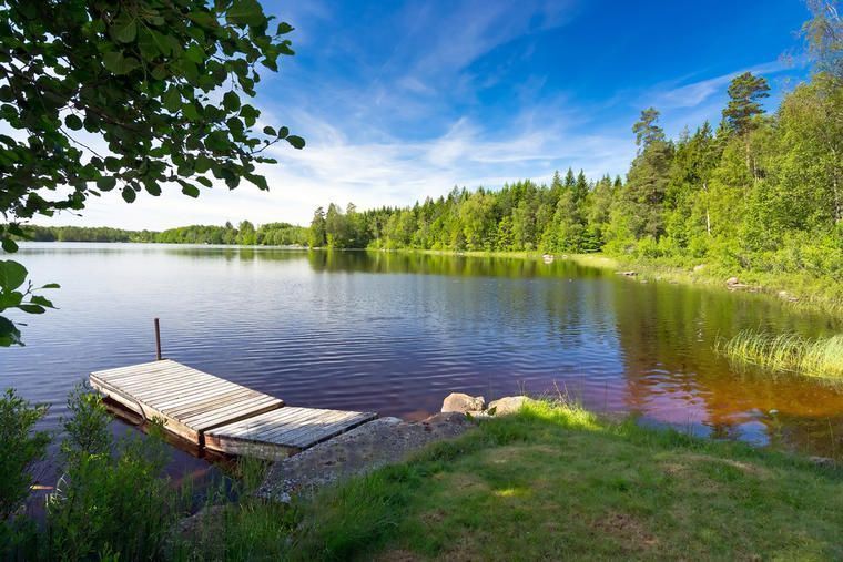naturen ved din ødegård