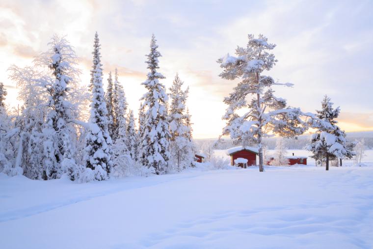 Ferie i Lappland