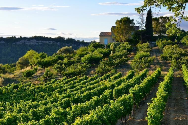 Lej ferieboliger i Bourgogne