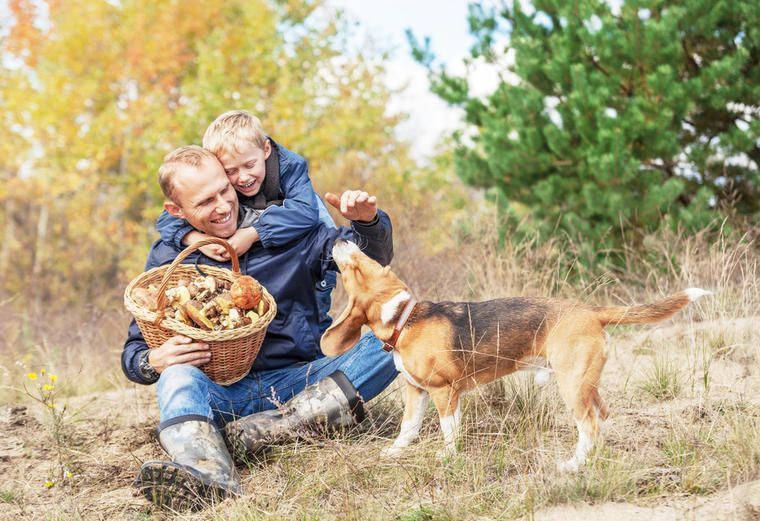 Lej sommerhus i Mariager for hele familien