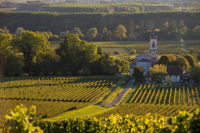 Vin i bourgogne
