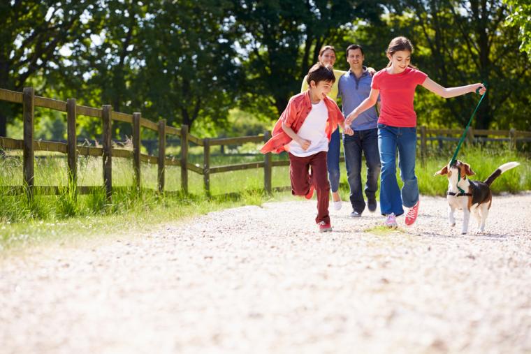 Aktiv ferie med familien i et lejet sommerhus i Vejlby Klit