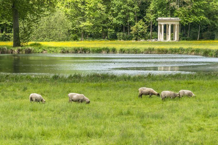 Attraktioner i Picardie